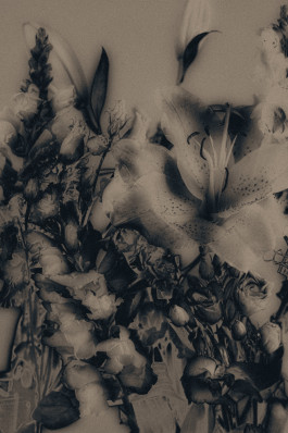 Laur&egrave;ne LE TALLEC