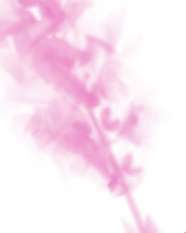 Laur&egrave;ne LE TALLEC