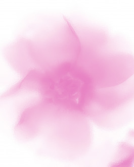 Laur&egrave;ne LE TALLEC